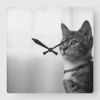 Niedliche Katze Quadratische Wanduhr