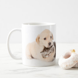 niedliche Katze schläft in den Händen des Hundes Kaffeetasse