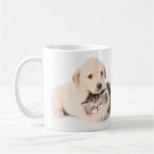 niedliche Katze schläft in den Händen des Hundes Kaffeetasse (Links)