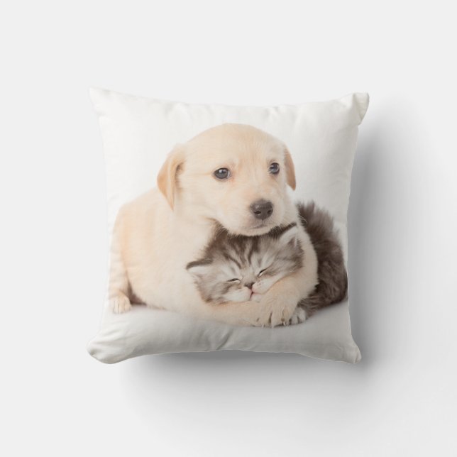 niedliche Katze schläft in den Händen des Hundes Kissen (Vorderseite)