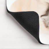 niedliche Katze schläft in den Händen des Hundes Mousepad (Ecke)