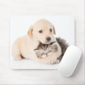 niedliche Katze schläft in den Händen des Hundes Mousepad (Mit Mouse)