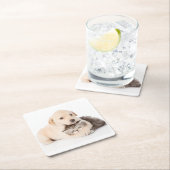 niedliche Katze schläft in den Händen des Hundes Rechteckiger Pappuntersetzer (Vor Ort)