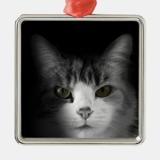 Niedliche Katze Silbernes Ornament (Vorne)