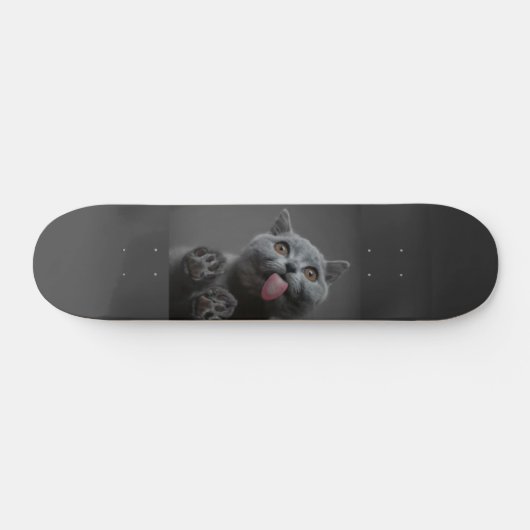 Niedliche Katze Skateboard (Horizontal)