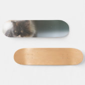 Niedliche Katze Skateboard (Horizontal)