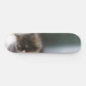 Niedliche Katze Skateboard (Horizontal)
