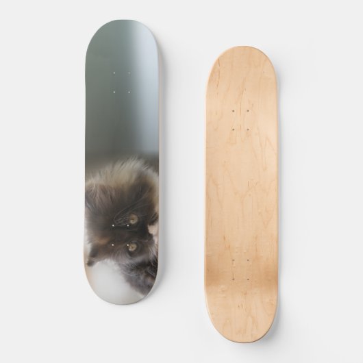 Niedliche Katze Skateboard (Vorderseite)