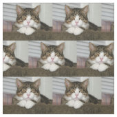 Niedliche Katze Stoff (Muster)