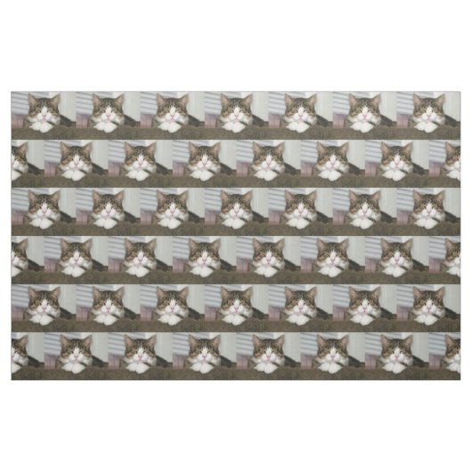 Niedliche Katze Stoff (Fat Quarter (45,7 x 55,9 cm))