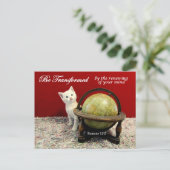 Niedliche Katze und Römer 12:2 Bibelverse Postkart Postkarte (Stehend Vorderseite)