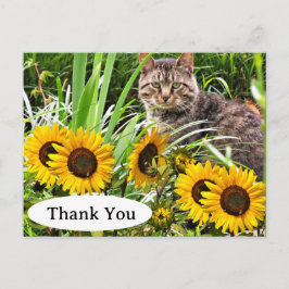 Niedliche Katze und Sonnenblumen Danke, Postcard Postkarte