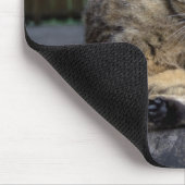 Niedliche Katze unterbrochen, während sie wächst Mousepad (Ecke)