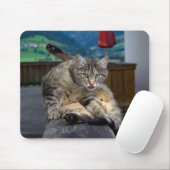 Niedliche Katze unterbrochen, während sie wächst Mousepad (Mit Mouse)