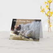 Niedliche Katze Vermisst Sie Grußkarte Karte (Gelbe Blume)