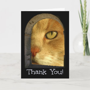 Niedliche Katze Vielen Dank für die Sitzkarte für Dankeskarte