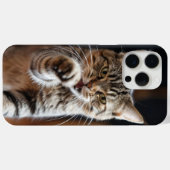 Niedliche Katze wirft einen Punch Case-Mate iPhone Hülle (Rückseite (Horizontal))