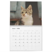 Niedliche Katzen 2024 Kalender (Mär 2026)