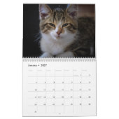 Niedliche Katzen 2024 Kalender (Jan 2027)