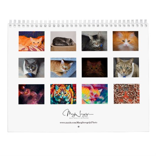 Niedliche Katzen Foto Art Design 2023 Monatlich Kalender (Rückseite)