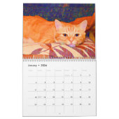 Niedliche Katzen Foto Art Design 2023 Monatlich Kalender (Jan 2026)