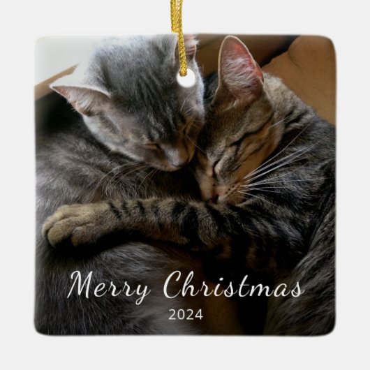 Niedliche Katzen Foto Moderne Weihnachten Keramikornament (Vorderseite)