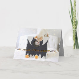 Niedliche Katzen Halloween-Bat-Kostüme Karte