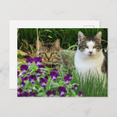 Niedliche Katzen im Blumengarten / Collage Art Postkarte (Vorne/Hinten)
