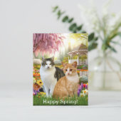 Niedliche Katzen im Garten Postkarte (Stehend Vorderseite)