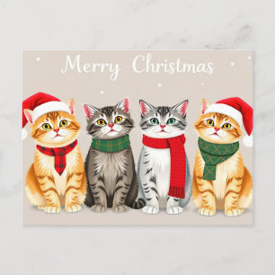 Niedliche Katzen in Weihnachtsmannmützen Frohe Wei Postkarte