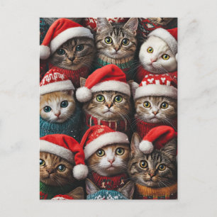 Niedliche Katzen in Weihnachtsmannmützen Weihnacht Postkarte