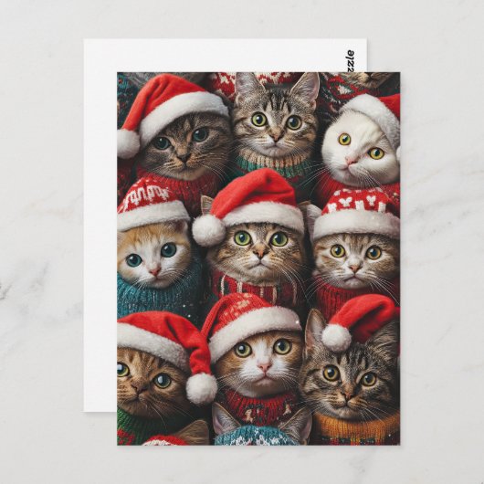 Niedliche Katzen in Weihnachtsmannmützen Weihnacht Postkarte (Vorne/Hinten)