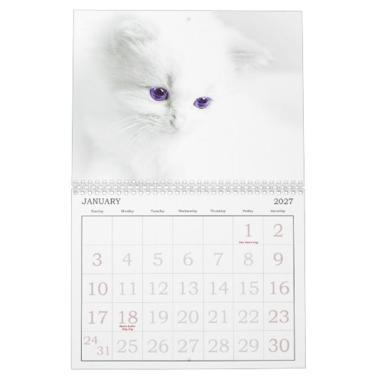 Niedliche Katzen Kalender (Jan 2027)