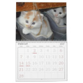 Niedliche Katzen Kalender (Feb 2027)