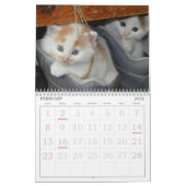 Niedliche Katzen Kalender (Feb 2026)