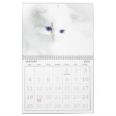 Niedliche Katzen Kalender (Jan 2026)