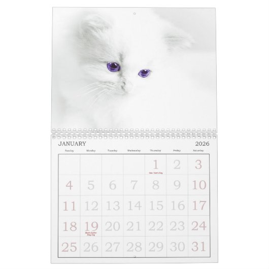 Niedliche Katzen Kalender (Jan 2026)
