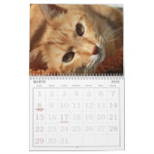 Niedliche Katzen Kalender (Mär 2026)