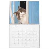 Niedliche Katzen Kalender (Mär 2027)