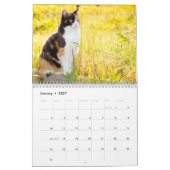 Niedliche Katzen Kalender (Jan 2027)
