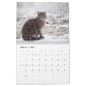 Niedliche Katzen Kalender (Feb 2027)