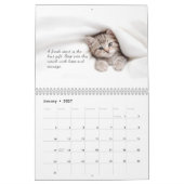 Niedliche Katzen Kalender (Jan 2027)