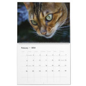 Niedliche Katzen Kalender (Feb 2026)
