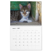 Niedliche Katzen Kalender (Mär 2027)