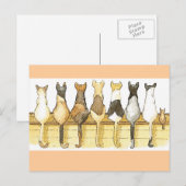 Niedliche Katzen Lineup Postkarte (Vorne/Hinten)