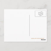 Niedliche Katzen Lineup Postkarte (Rückseite)