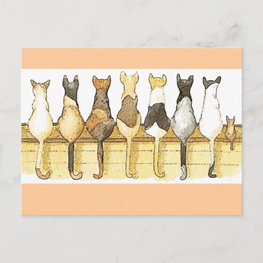 Niedliche Katzen Lineup Postkarte (Vorderseite)