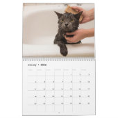 Niedliche Katzen Maßgeschneiderte Foto-Wand Kalender (Jan 2026)