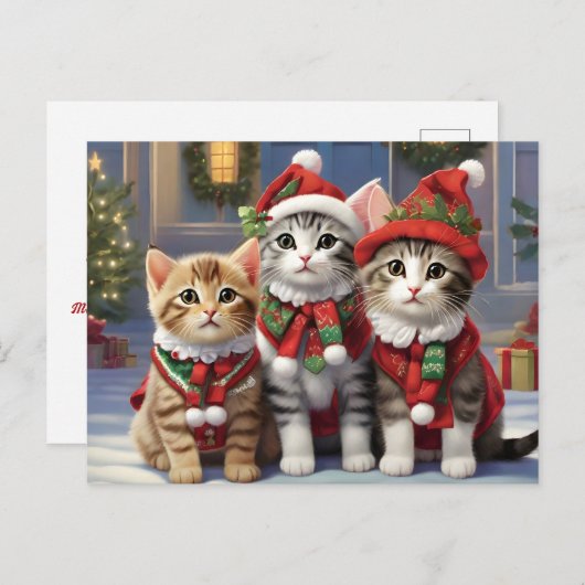 Niedliche Katzen mit Weihnachtsmannmützen Postkarte (Vorne/Hinten)