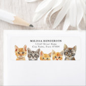 Niedliche Katzen Rücksendeadressen-Aufkleber (Insitu)